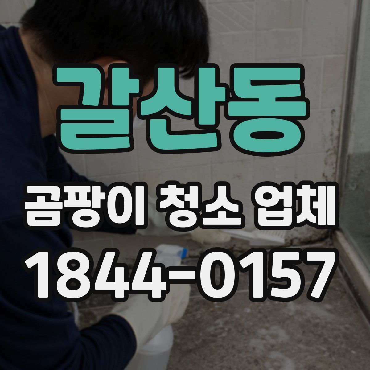 갈산동 곰팡이 청소 업체