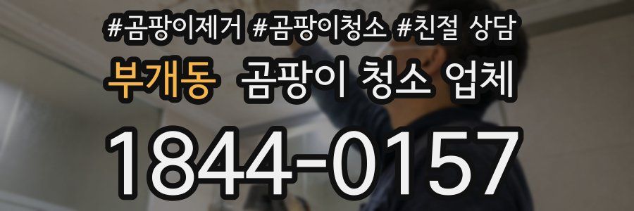 부개동 곰팡이 청소 업체
