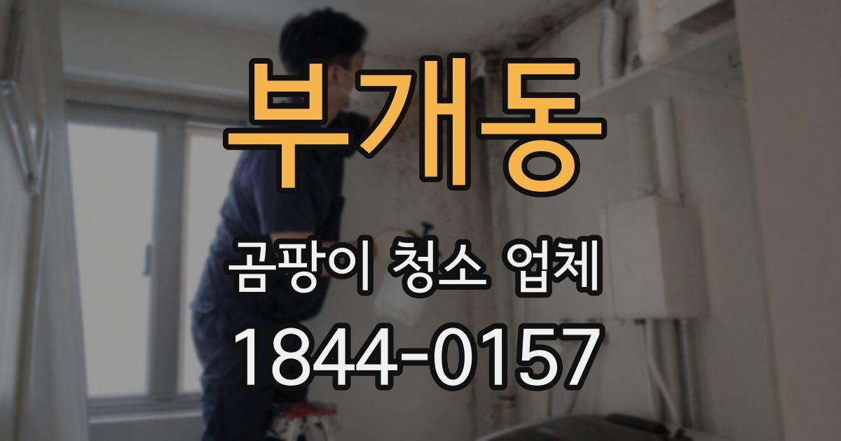 부개동 곰팡이 청소 업체