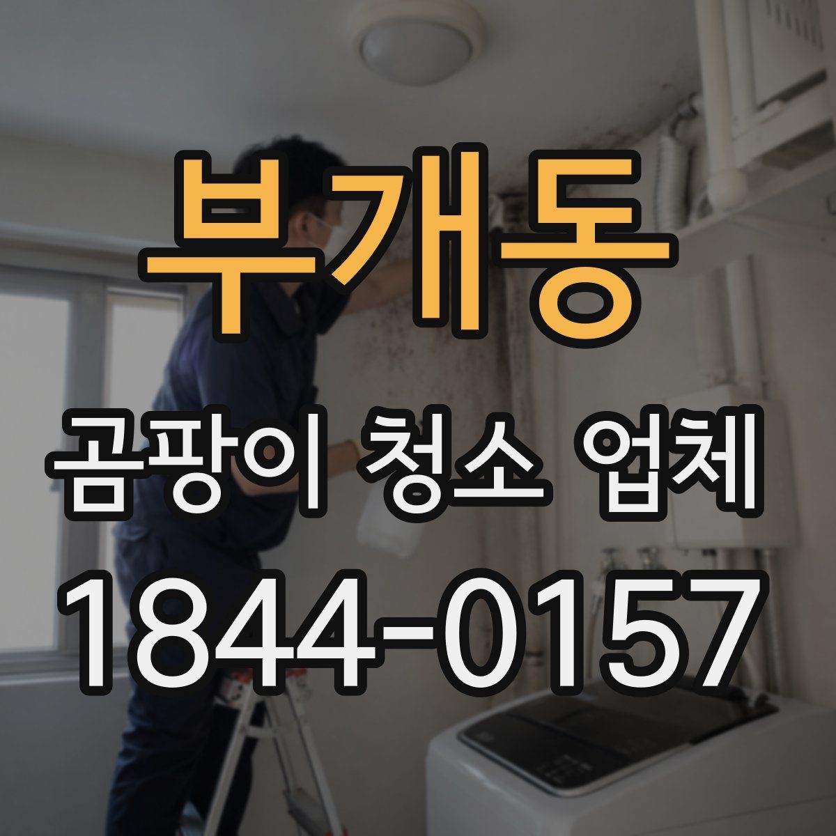 부개동 곰팡이 청소 업체