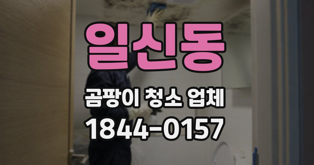 일신동 곰팡이 청소 업체