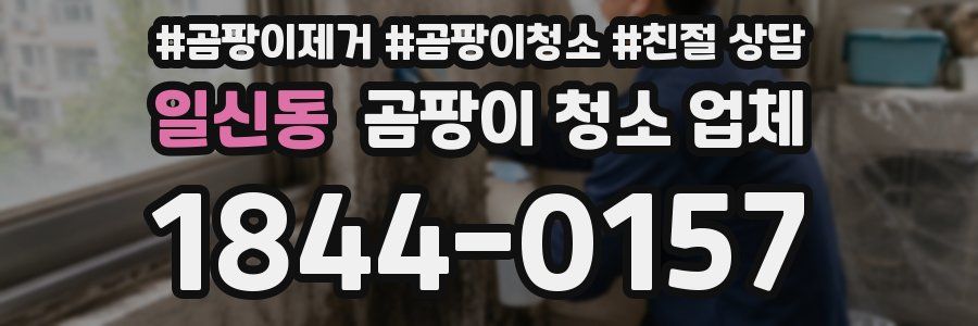 일신동 곰팡이 청소 업체