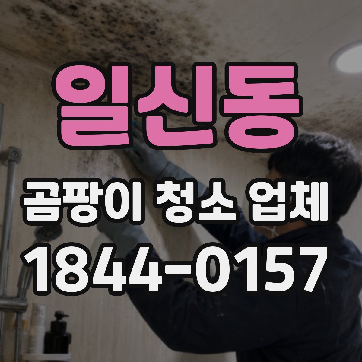 일신동 곰팡이 청소 업체