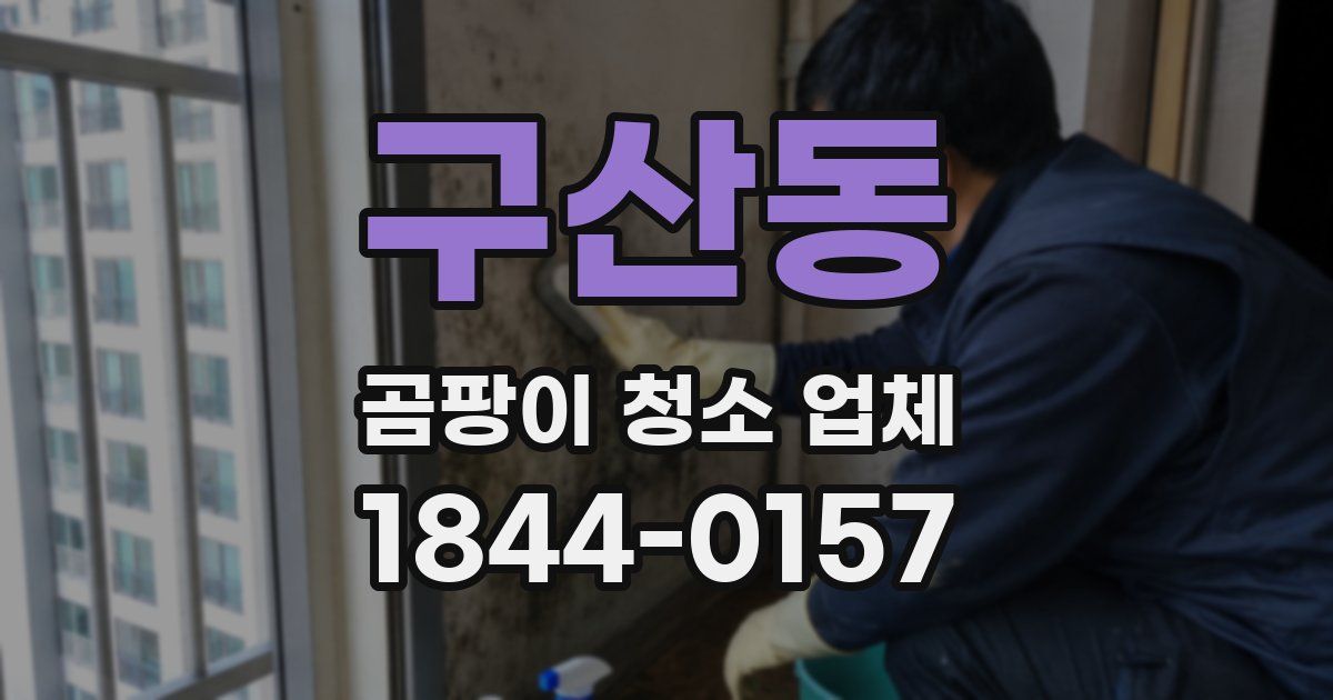 구산동 곰팡이 청소 업체