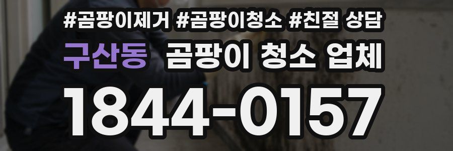 구산동 곰팡이 청소 업체