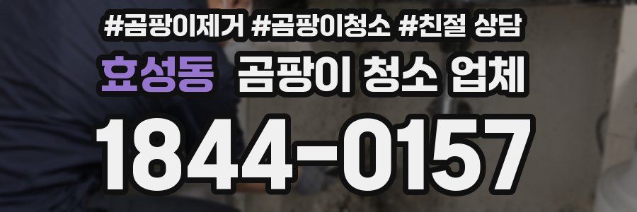 효성동 곰팡이 청소 업체