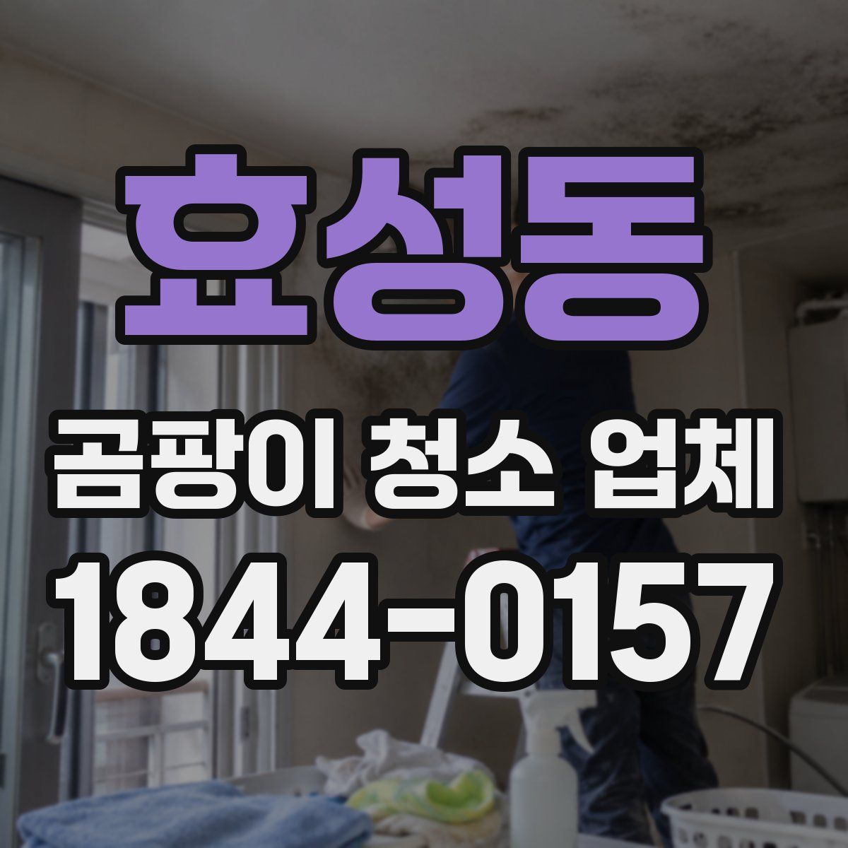 효성동 곰팡이 청소 업체