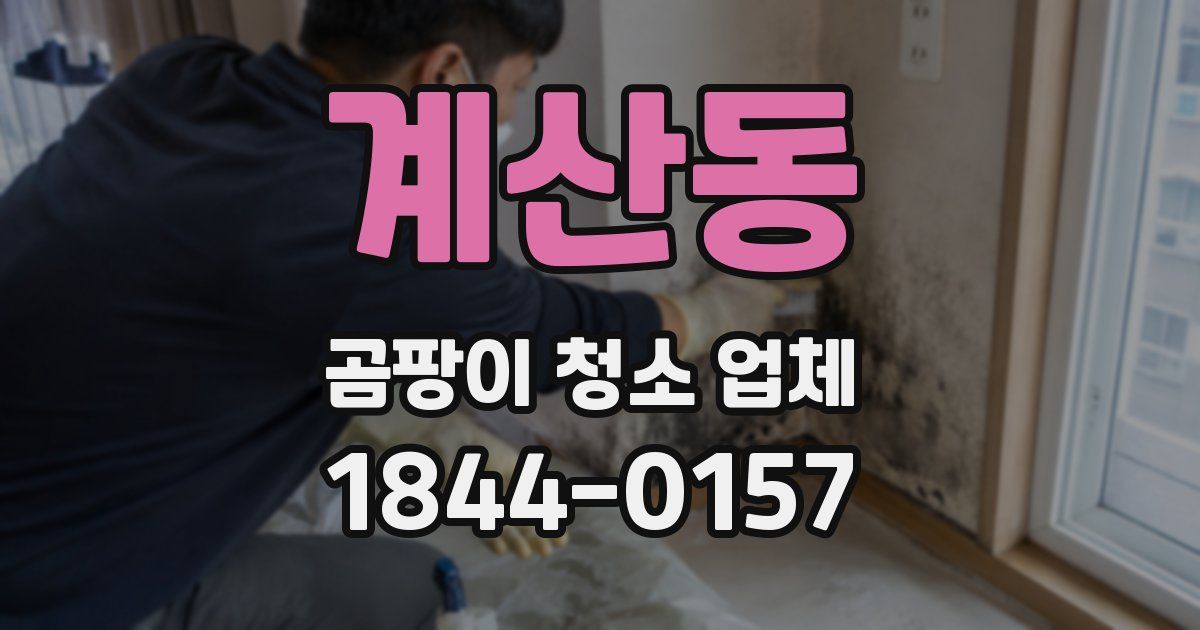 계산동 곰팡이 청소 업체