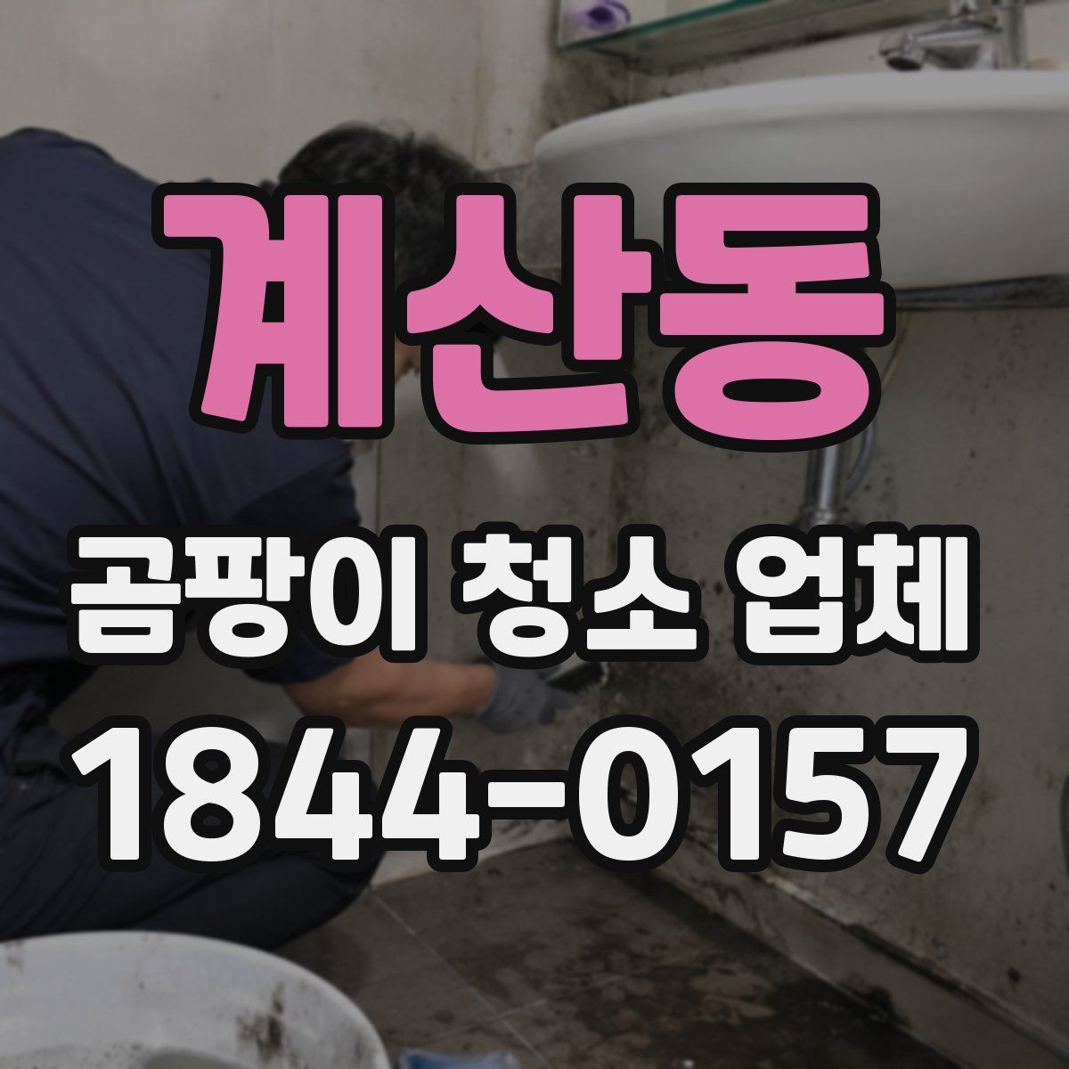 계산동 곰팡이 청소 업체