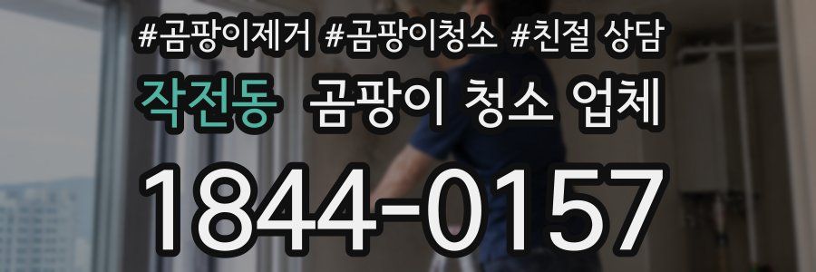 작전동 곰팡이 청소 업체