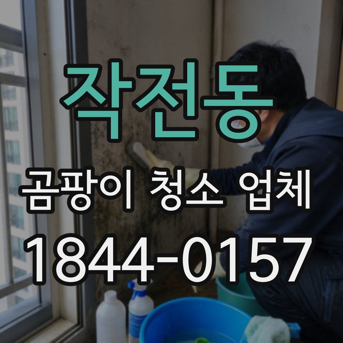 작전동 곰팡이 청소 업체