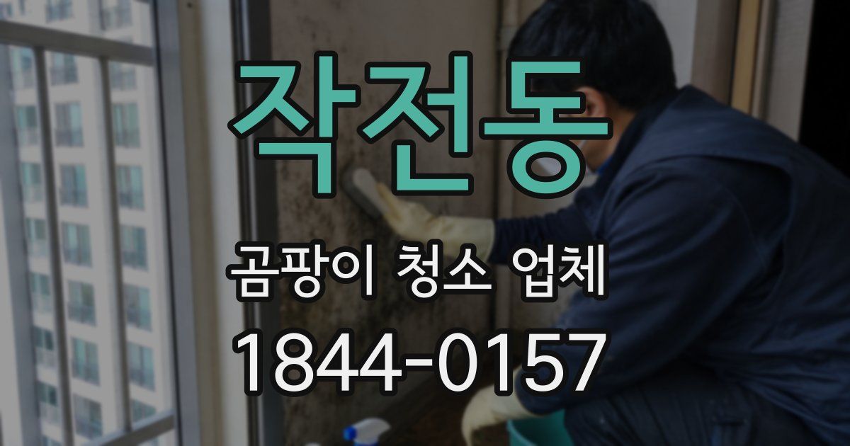 작전동 곰팡이 청소 업체