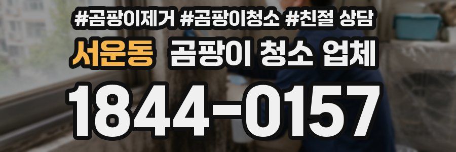 서운동 곰팡이 청소 업체