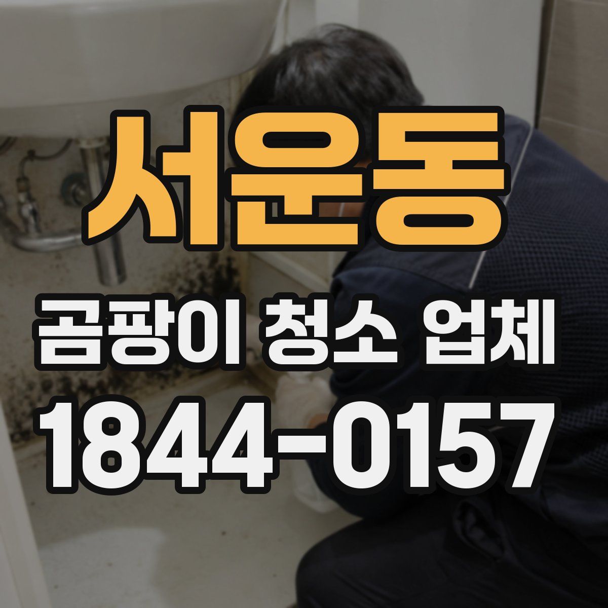 서운동 곰팡이 청소 업체