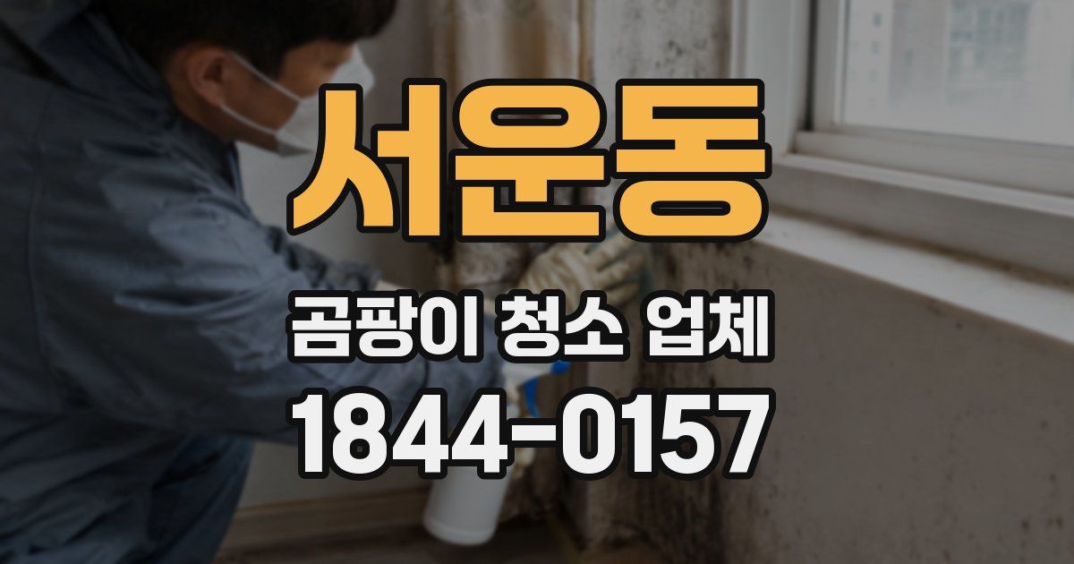 서운동 곰팡이 청소 업체