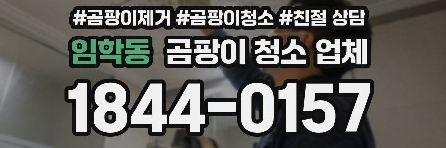 임학동 곰팡이 청소 업체