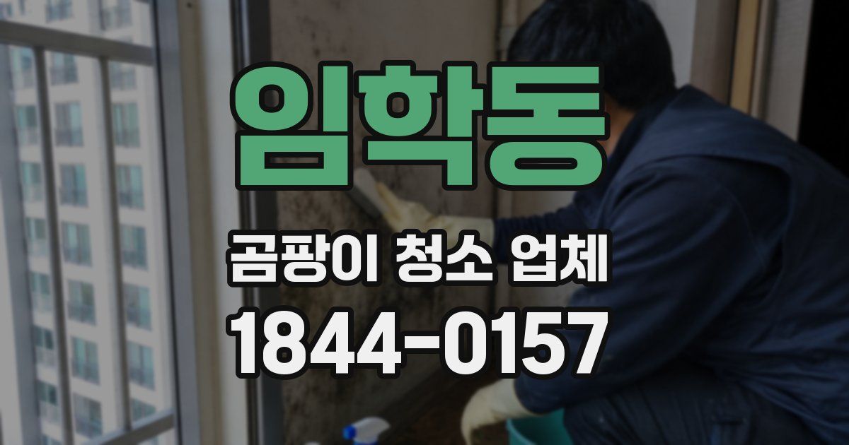 임학동 곰팡이 청소 업체