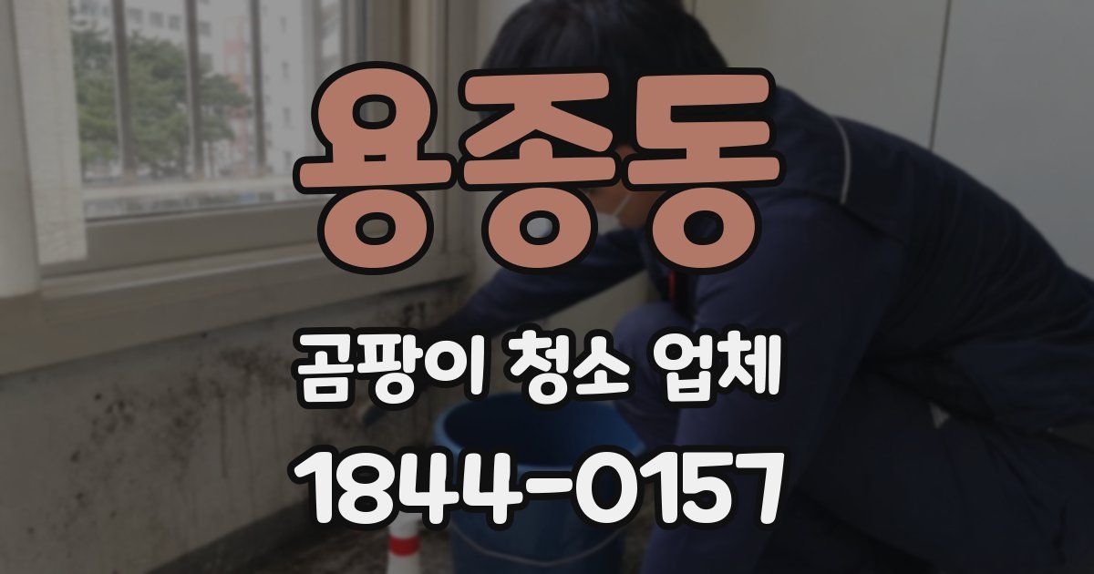 용종동 곰팡이 청소 업체