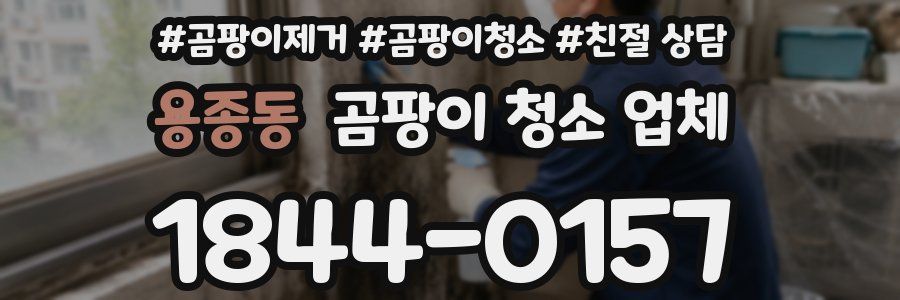 용종동 곰팡이 청소 업체