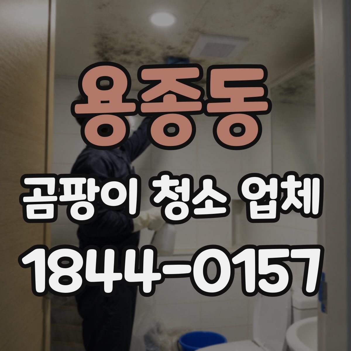 용종동 곰팡이 청소 업체