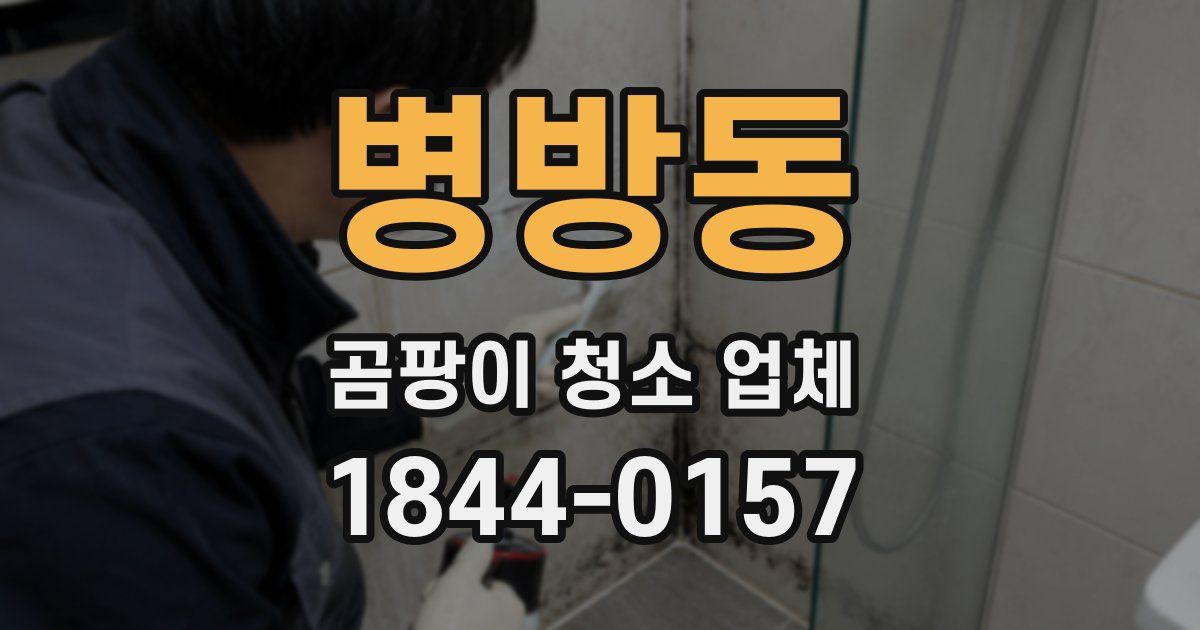 병방동 곰팡이 청소 업체