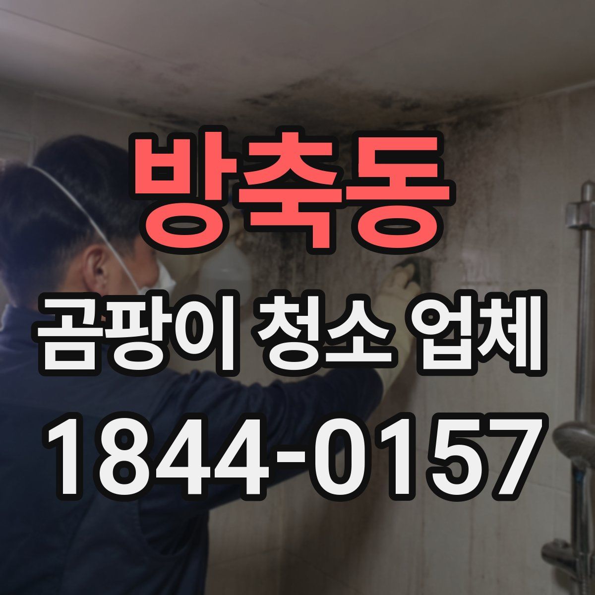 방축동 곰팡이 청소 업체