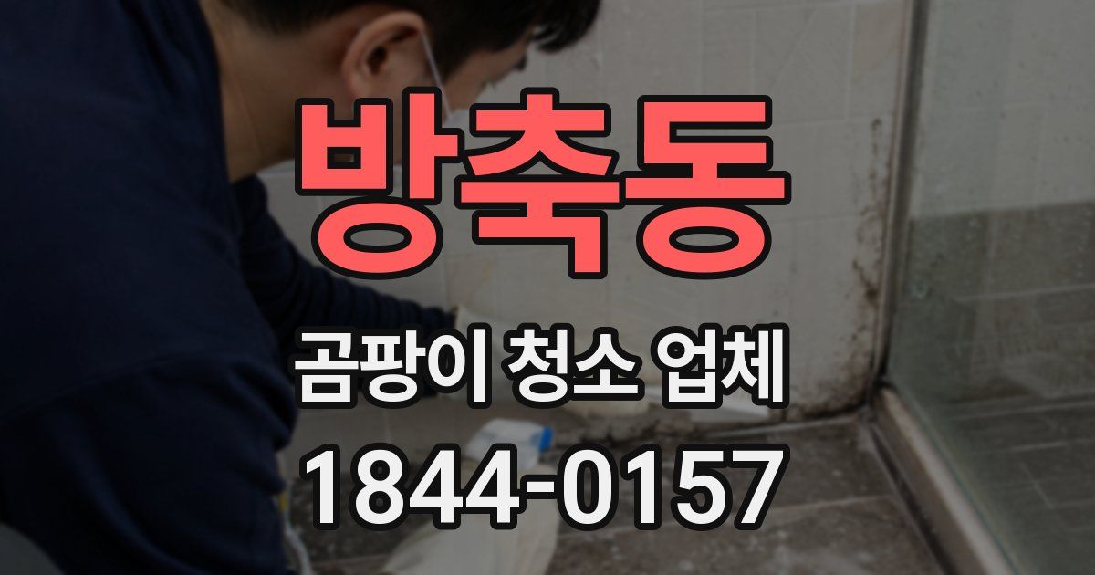 방축동 곰팡이 청소 업체