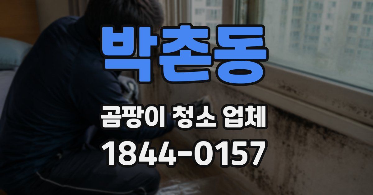 박촌동 곰팡이 청소 업체