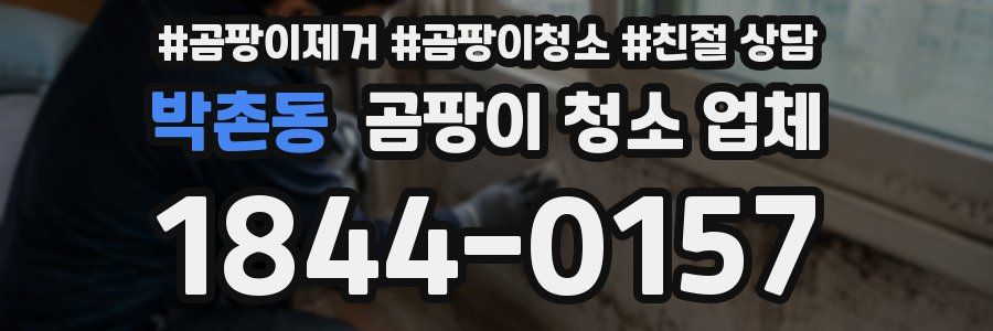 박촌동 곰팡이 청소 업체