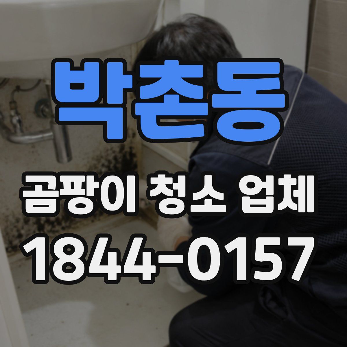 박촌동 곰팡이 청소 업체