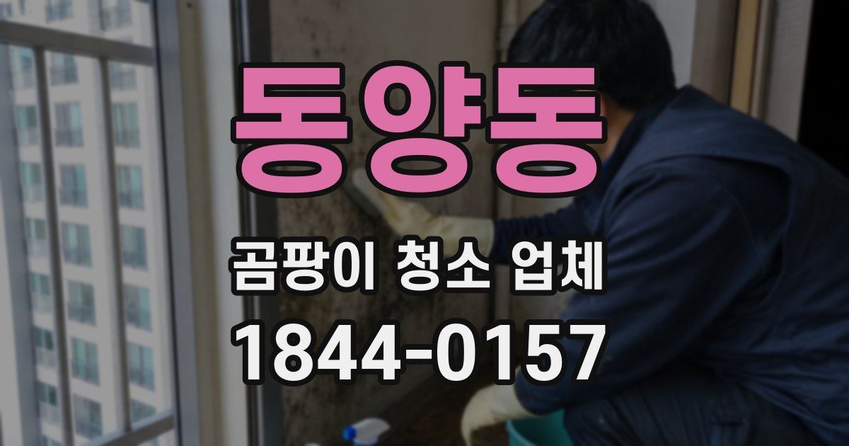 동양동 곰팡이 청소 업체