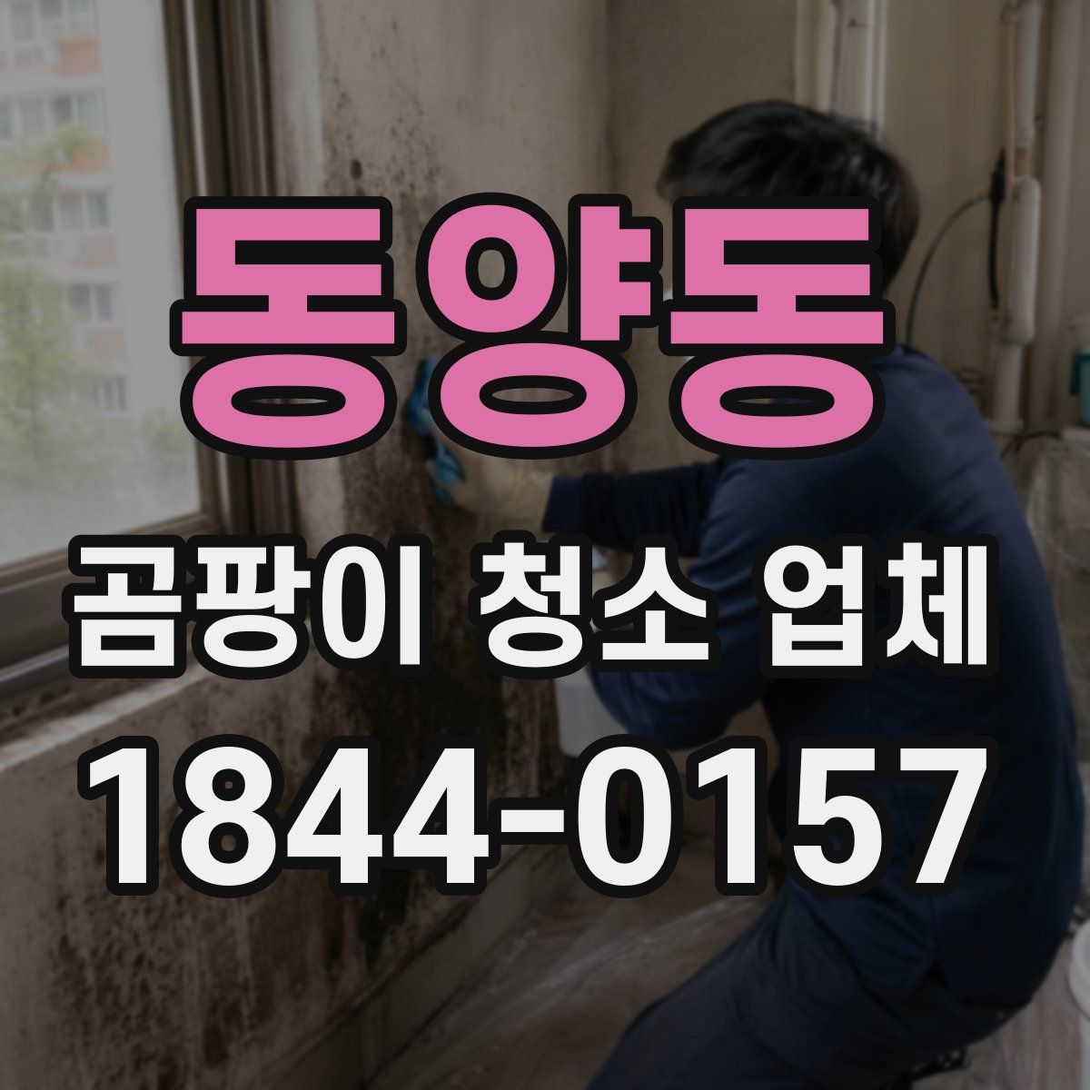 동양동 곰팡이 청소 업체