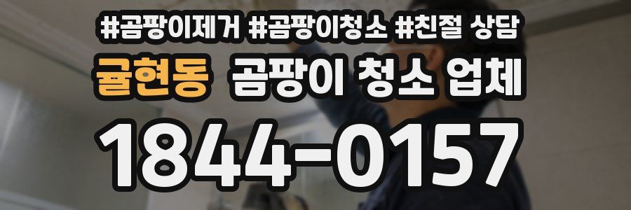 귤현동 곰팡이 청소 업체