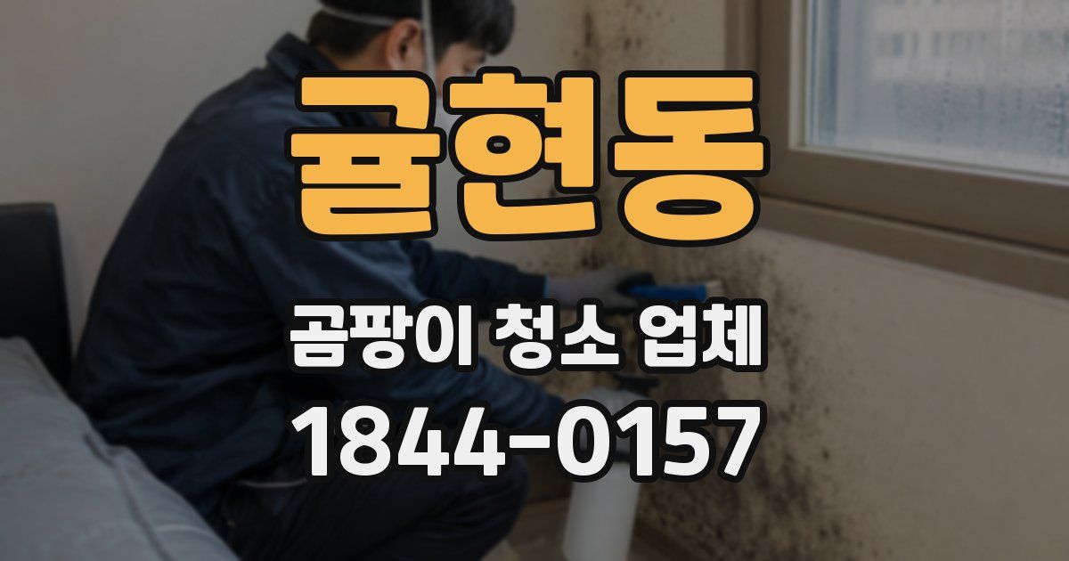 귤현동 곰팡이 청소 업체