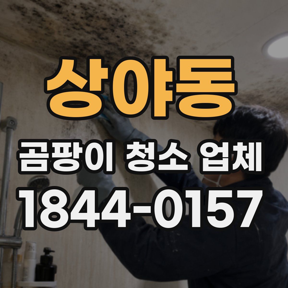 상야동 곰팡이 청소 업체