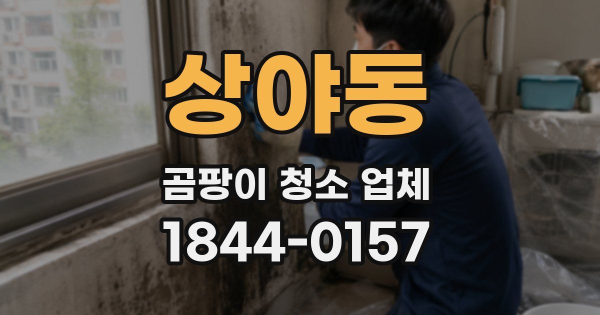 상야동 곰팡이 청소 업체