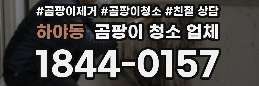 하야동 곰팡이 청소 업체