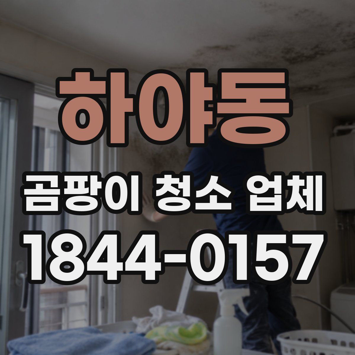 하야동 곰팡이 청소 업체