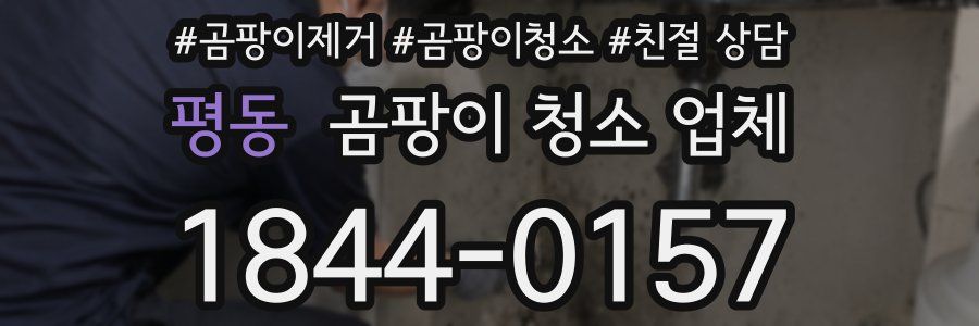 평동 곰팡이 청소 업체
