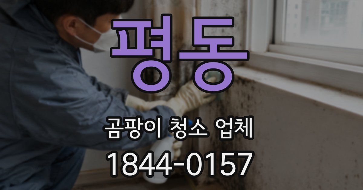 평동 곰팡이 청소 업체