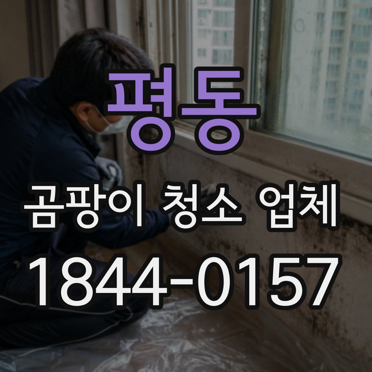 평동 곰팡이 청소 업체