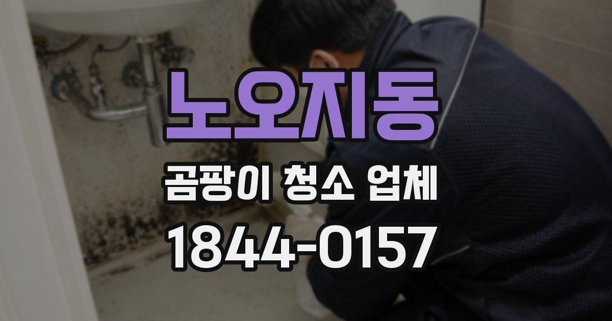 노오지동 곰팡이 청소 업체