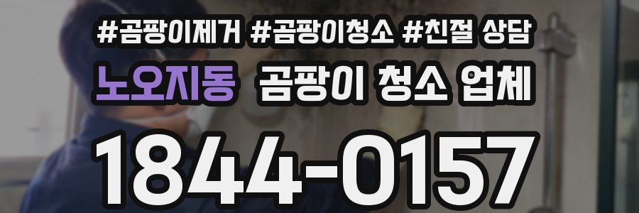 노오지동 곰팡이 청소 업체