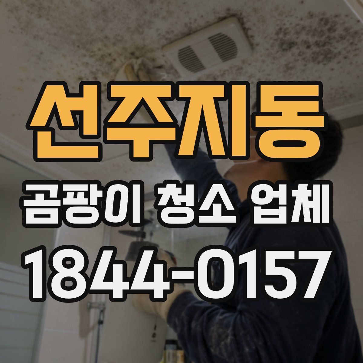 선주지동 곰팡이 청소 업체