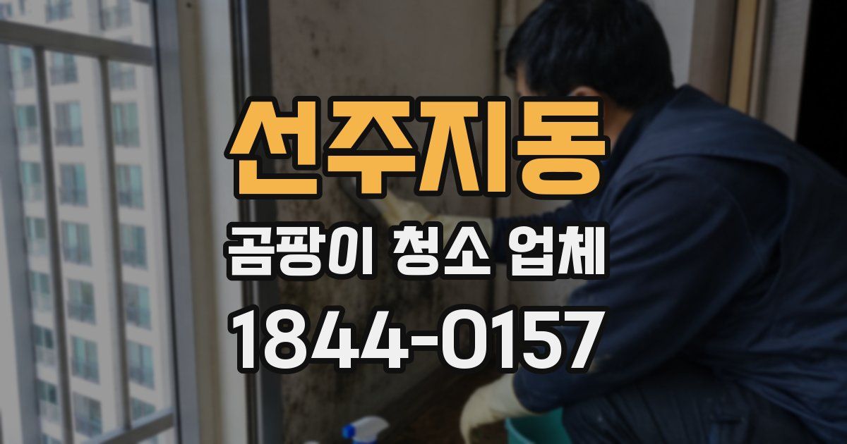 선주지동 곰팡이 청소 업체