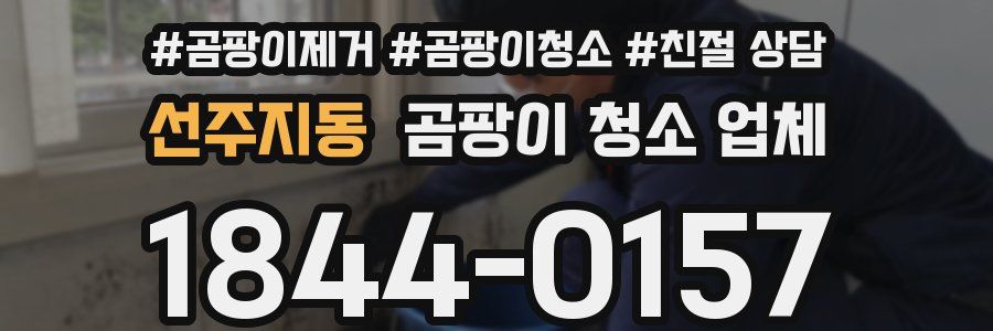 선주지동 곰팡이 청소 업체