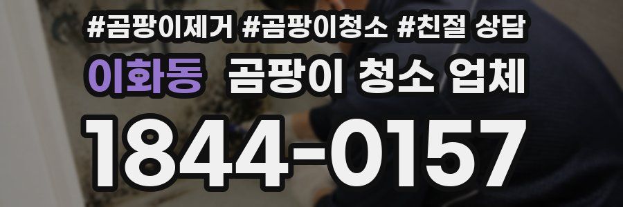 이화동 곰팡이 청소 업체