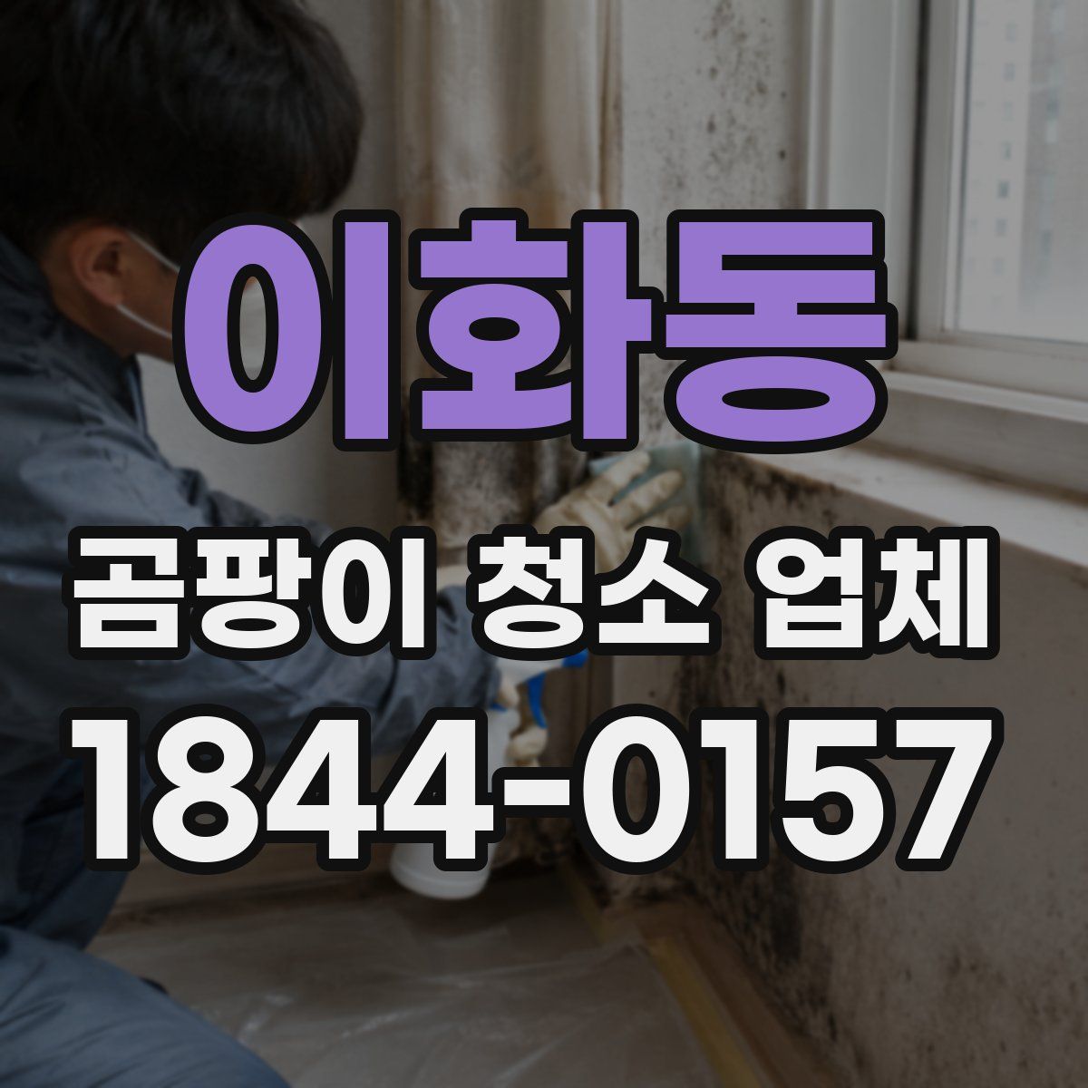 이화동 곰팡이 청소 업체