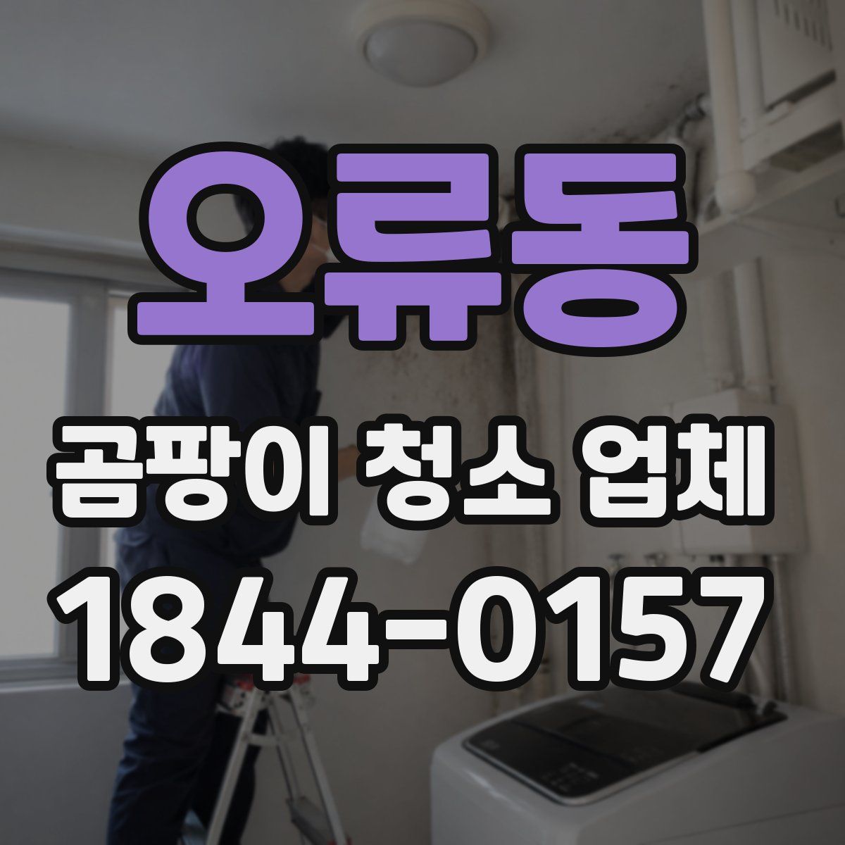 오류동 곰팡이 청소 업체