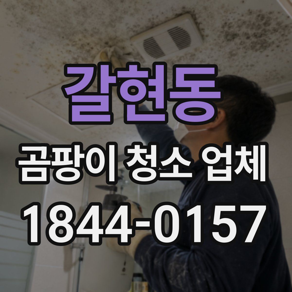 갈현동 곰팡이 청소 업체